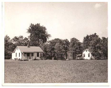 1940s - Cottages, with long grass.jpg